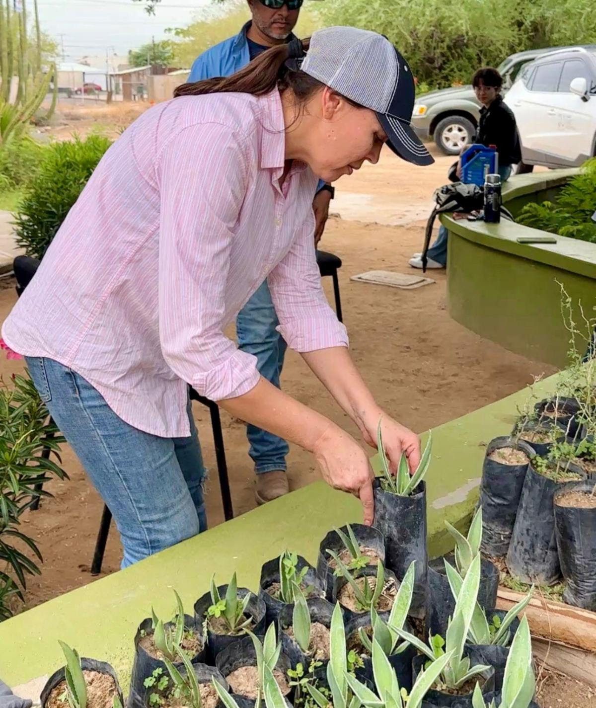 Gobierno de Sonora impulsa reforestación urbana con donación gratuita de plantas