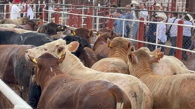 Las Noticias al Momento