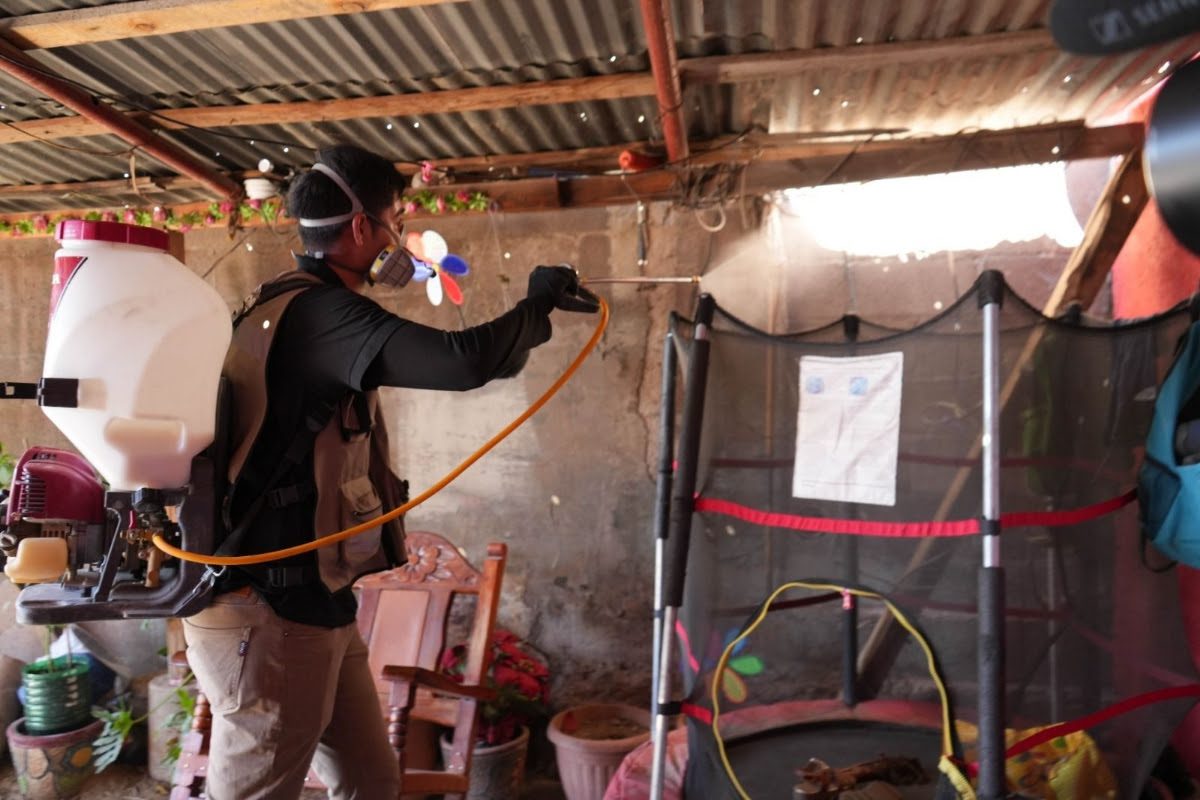 Insta Gobierno de Sonora a eliminar criaderos de mosquitos para prevenir el dengue