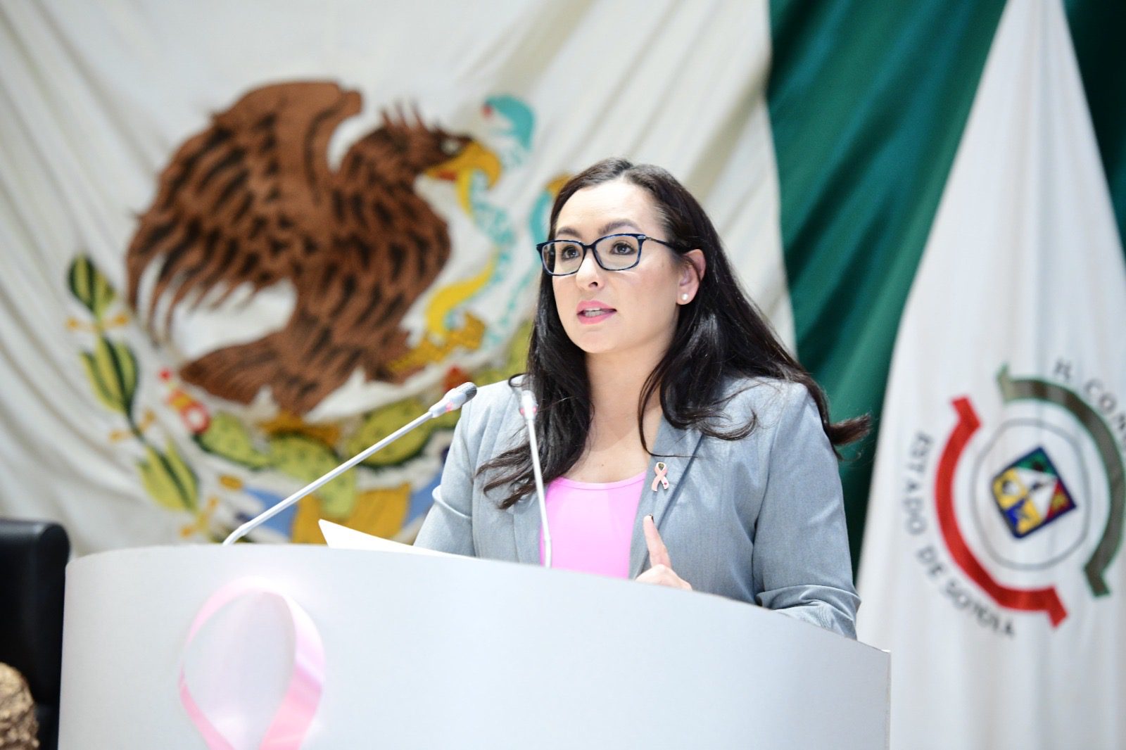 Pide diputada Iris Sánchez recursos para construcción de Hospital Oncológico en Cajeme