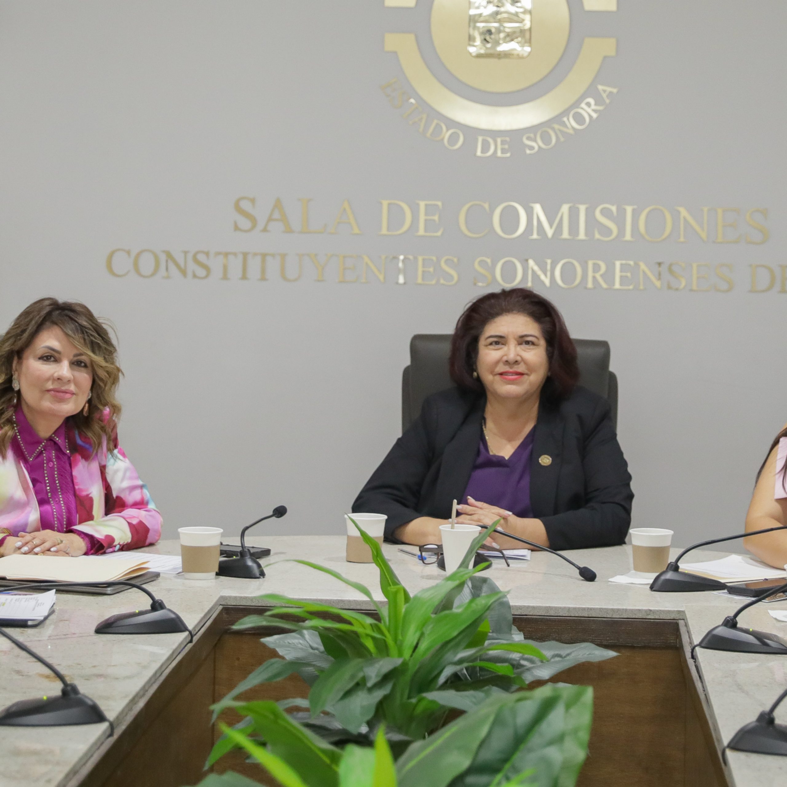 Eligen a galardonadas con Presea del Poderío de las Mujeres Sonorenses 2025