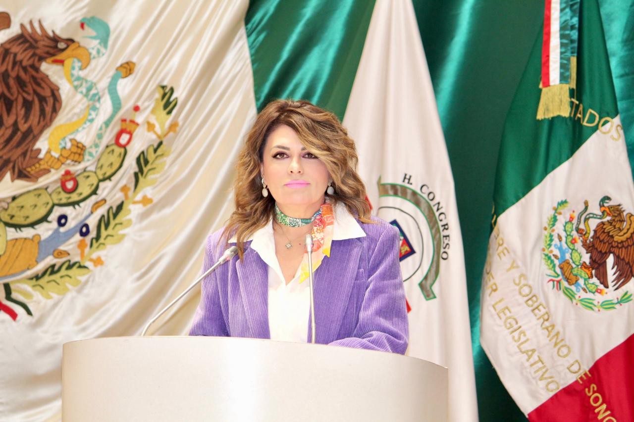 Propone diputada Alejandra López Noriega castigo severo al robo de agua