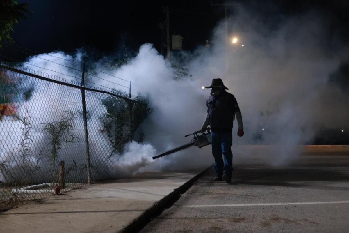 Realizan acciones de fumigación para prevenir el dengue en Sonora