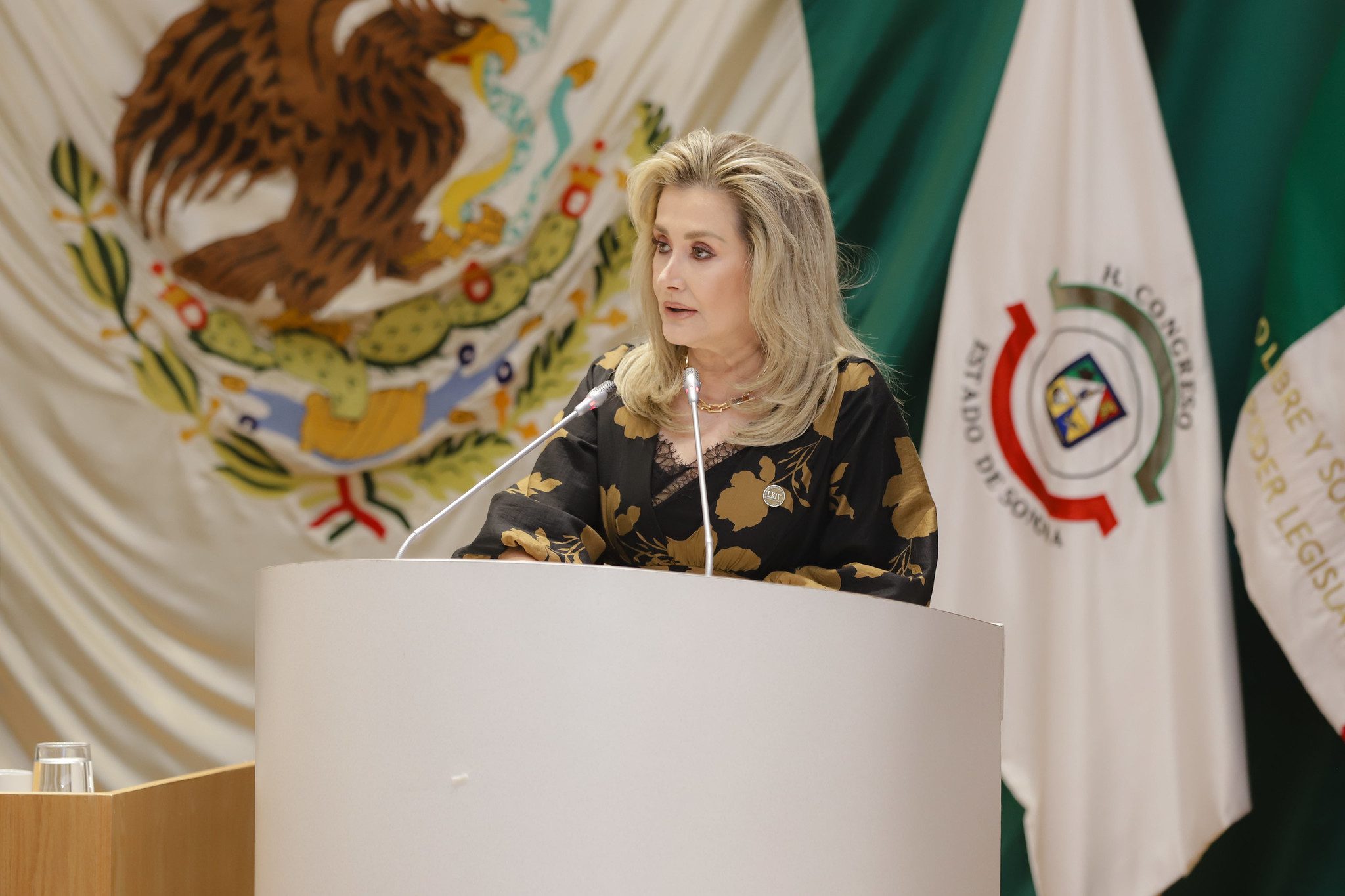 Cárcel para evasores fiscales; Aprueban iniciativa de la diputada Elly Sallard