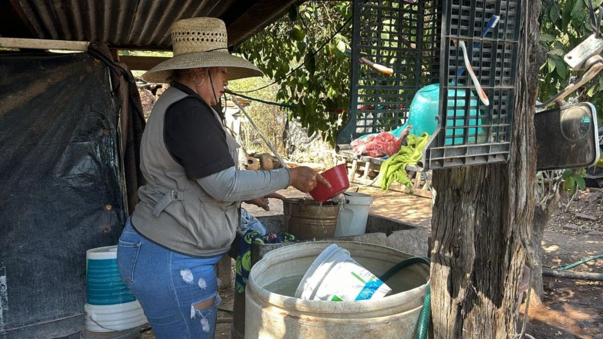 Llama Secretaría de Salud a mantener hogares limpios para prevenir rickettsia y dengue