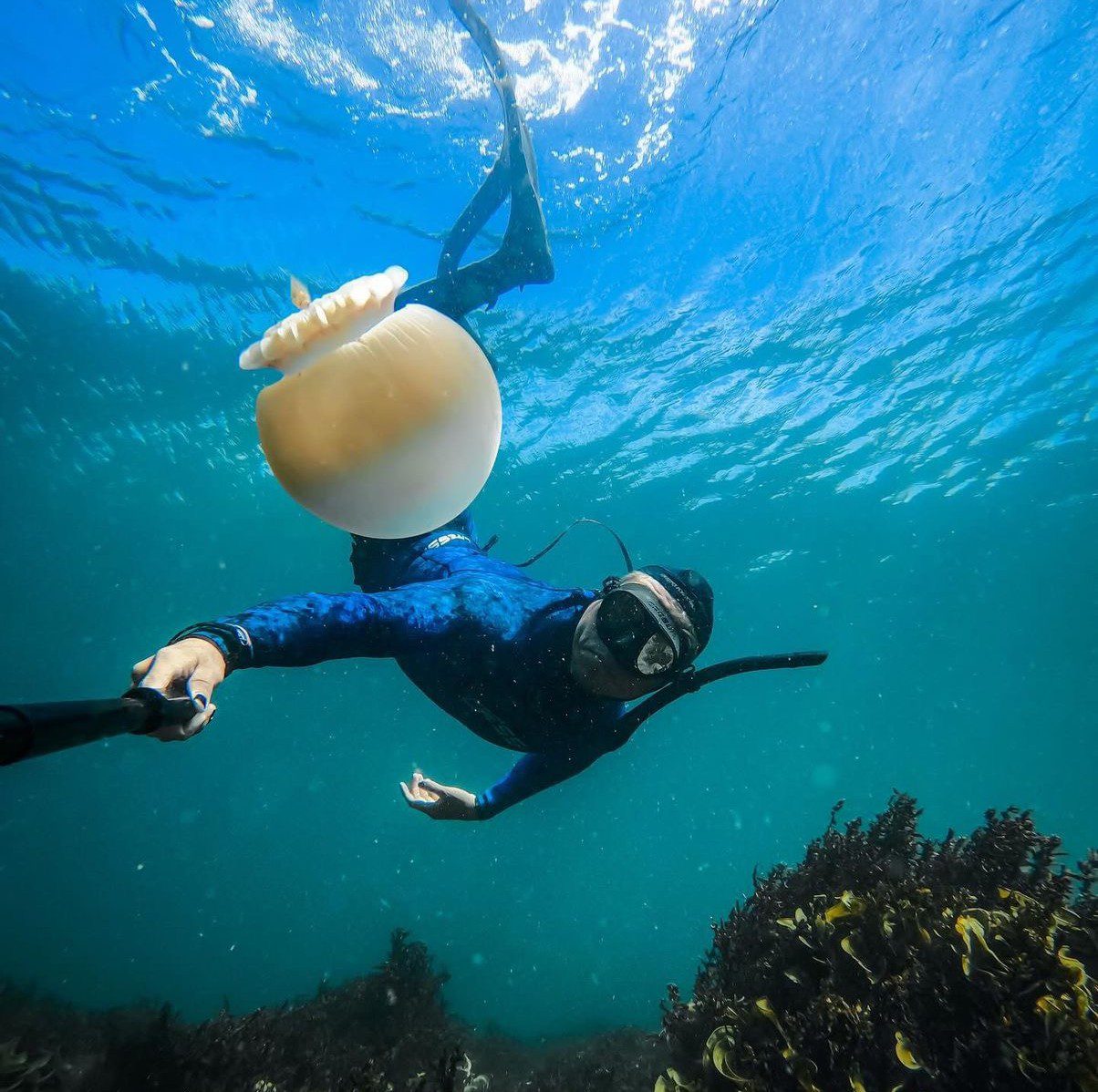 Las Noticias al Momento