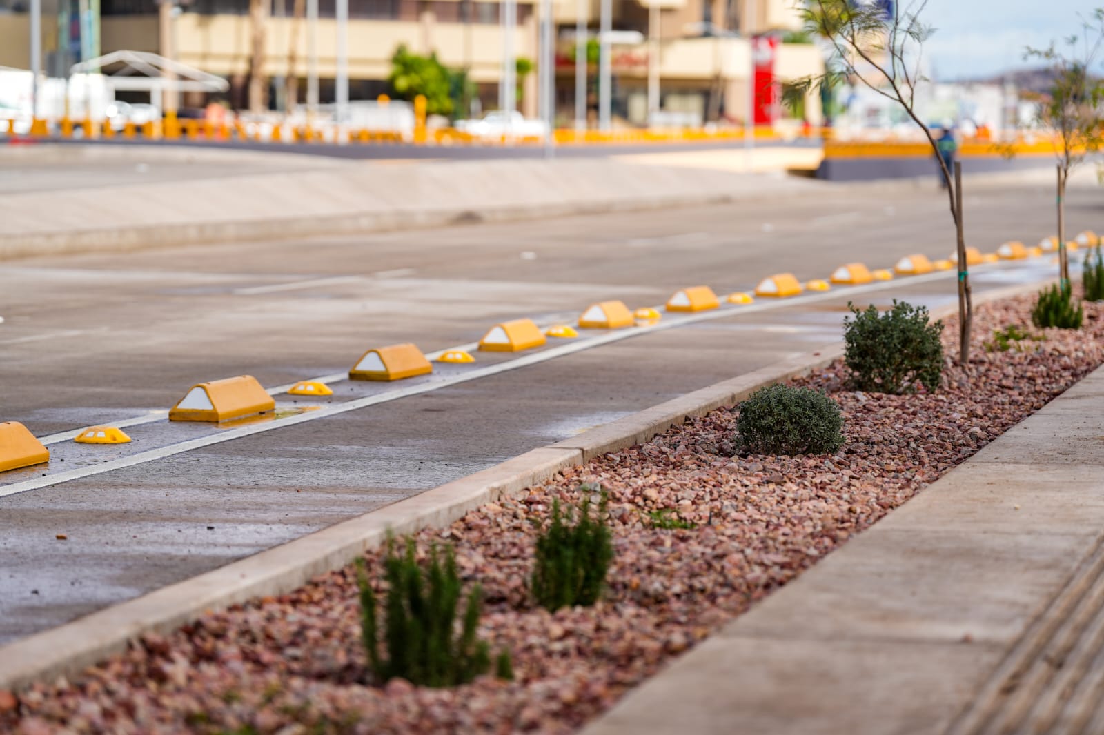 Brinda también paso a desnivel Colosio y Solidaridad seguridad a ciclistas y peatones
