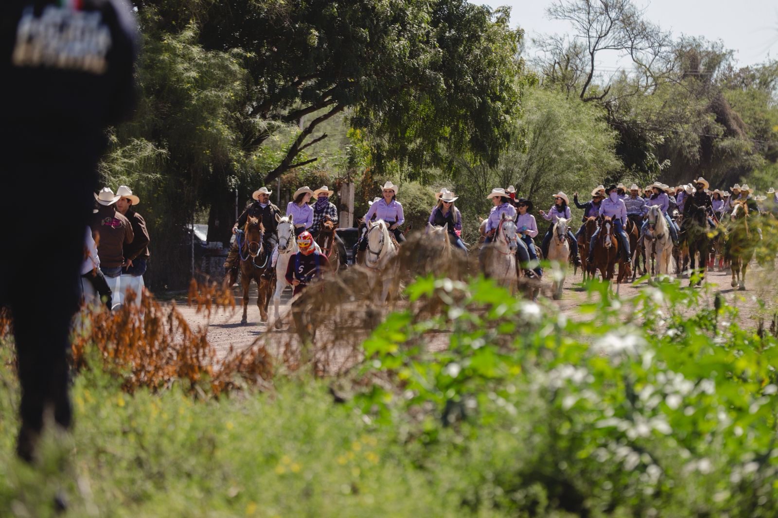 Participan legisladores del Congreso de Sonora en la “16 Cabalgata con Aroma de Mujer”