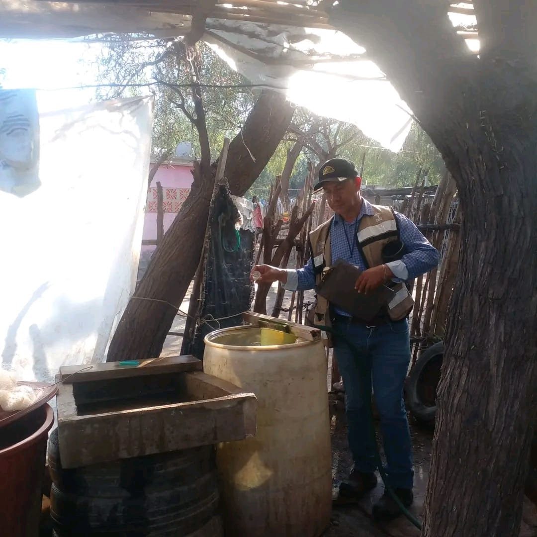 Ante posibles lluvias en Sonora, llama Salud a eliminar criaderos de mosquitos