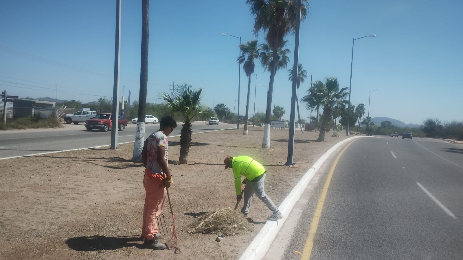 Continúa Servicios Públicos con trabajos de limpieza y alumbrado en San Carlos y Miramar