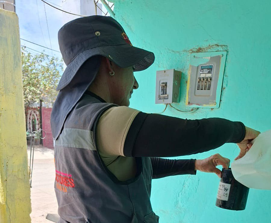 Refuerza Salud vigilancia del dengue con uso de ovitrampas