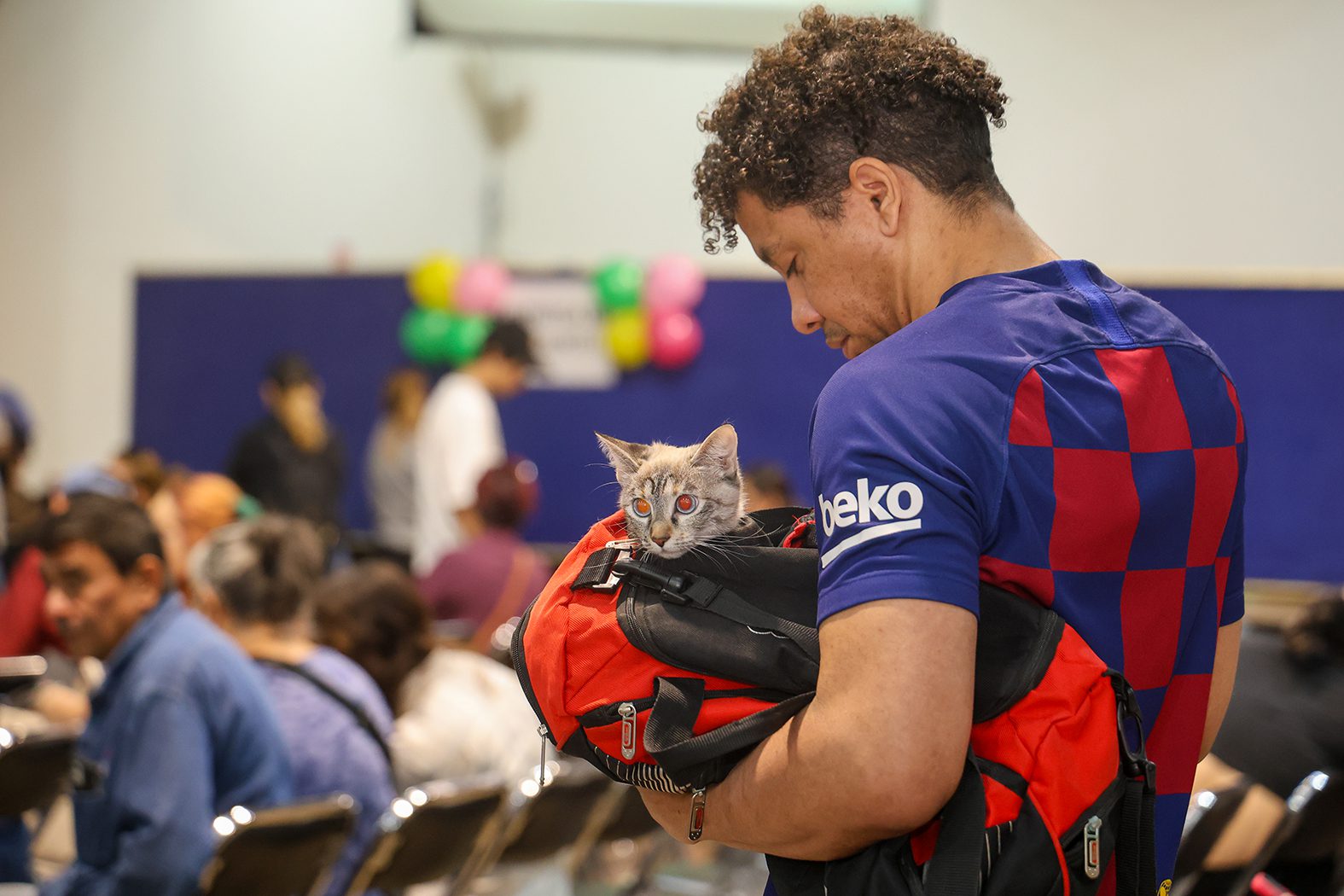 Ofrece Ayuntamiento esterilizaciones gratuitas para perros y gatos