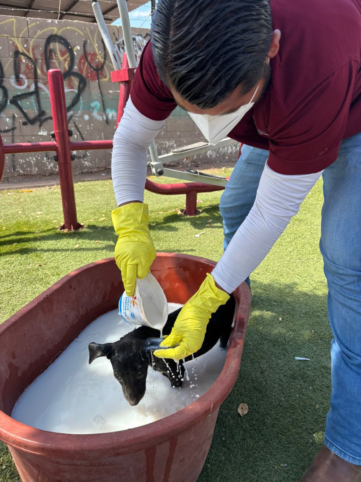 Alerta Salud sobre riesgo de garrapatas en dormitorios