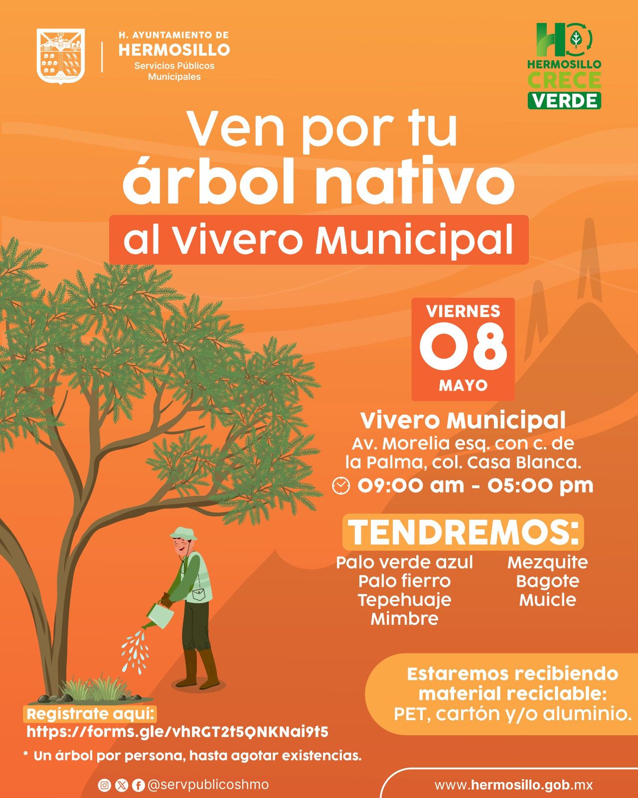 Donará Ayuntamiento árboles nativos este viernes 8 de mayo