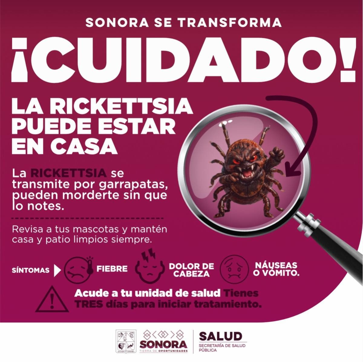 Pide  Salud reforzar limpieza en temporada de calor para prevenir rickettsia