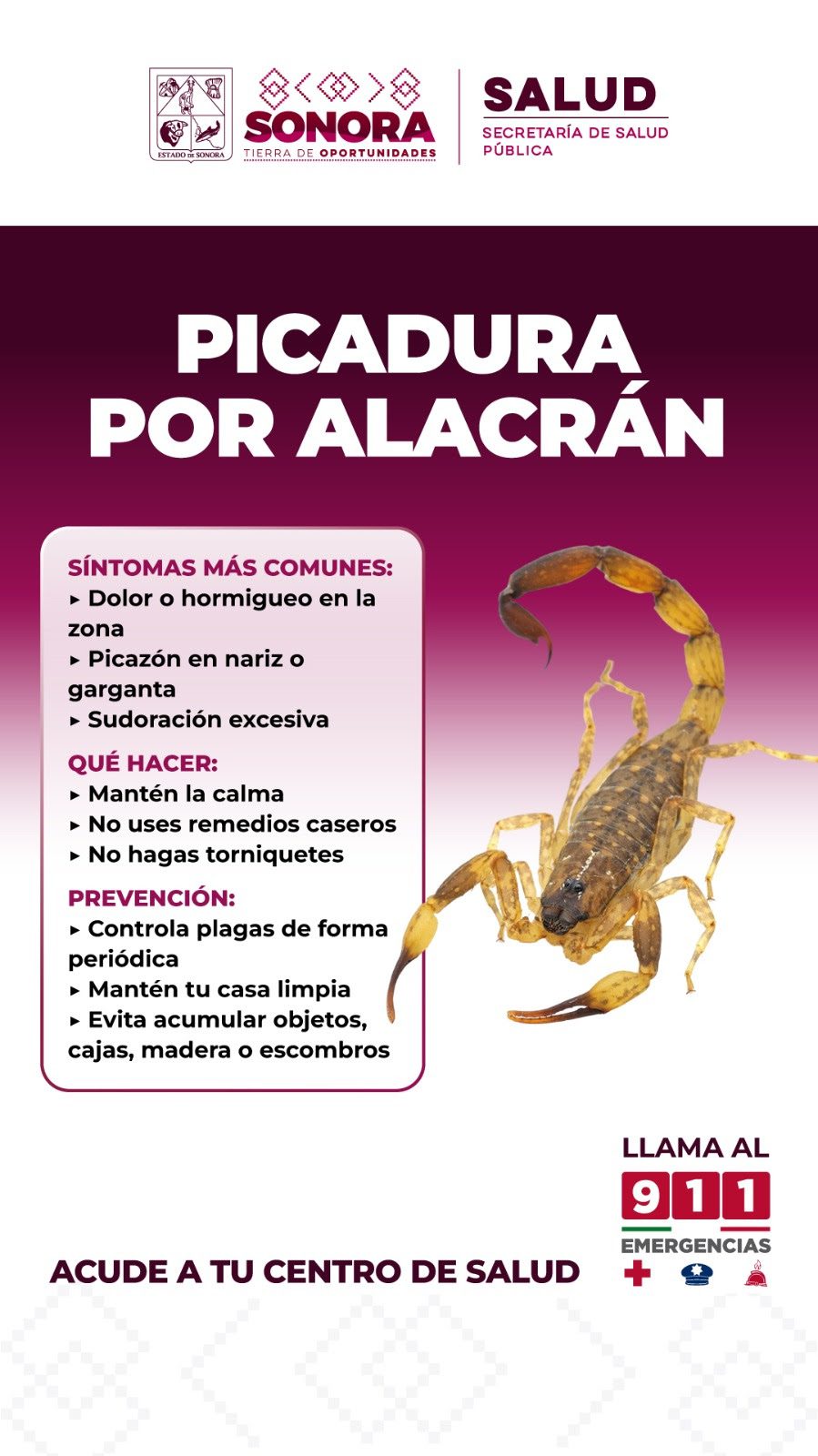 Recomienda Salud Sonora prevenir picaduras de arañas y alacranes