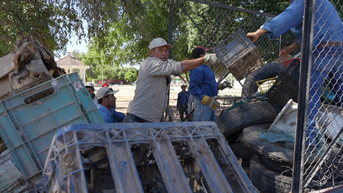 Fortalece Salud acciones para prevención y combate del dengue en Sonora