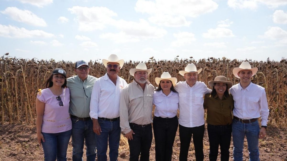Fortalecen Sonora y Federación potencial agrícola de la entidad