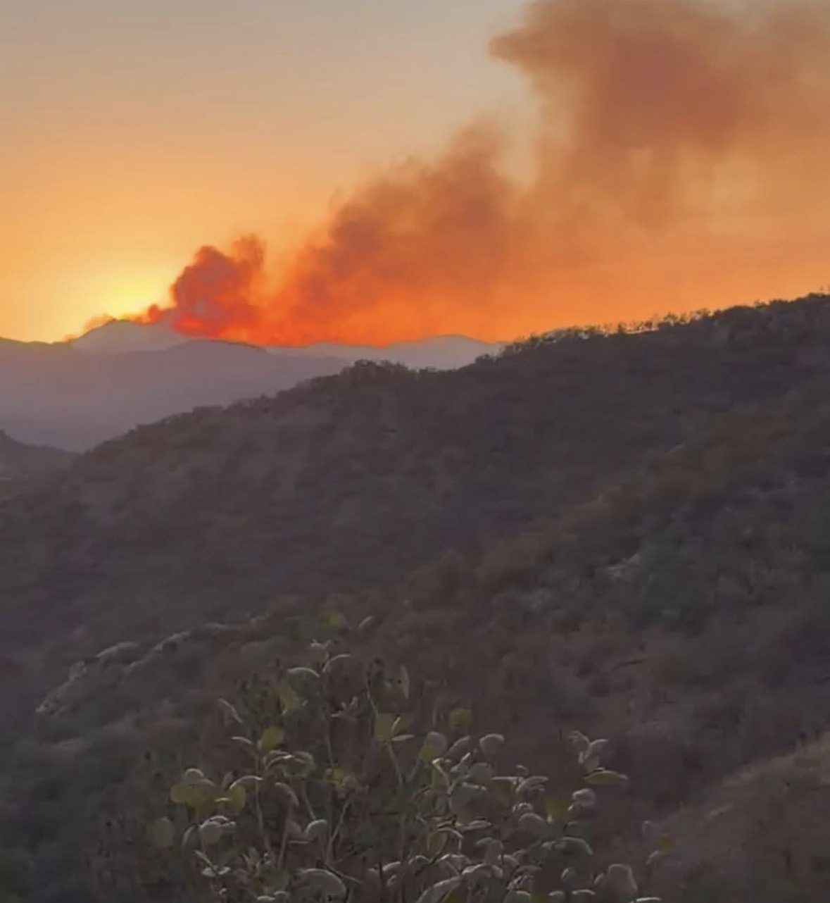 Suman esfuerzos autoridades para controlar incendio forestal en Arivechi