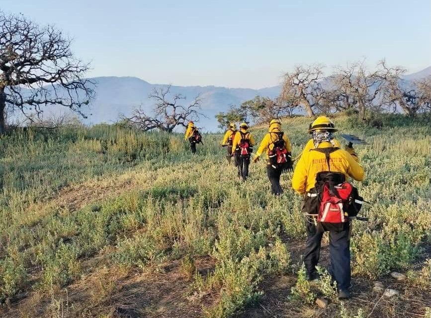 Coordina Gobierno esfuerzos y controlan incendio forestal en Arivechi